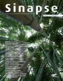 Sinapse Vol.9 - nº1