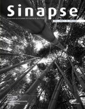 Sinapse Vol.9 - nº1 Suplemento 1