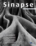 Sinapse Vol.8 - nº2 Suplemento 1