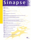 Sinapse Vol.4 - nº2