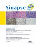SINAPSE Vol.21 Nº1 (Janeiro-Março)